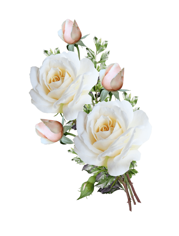 Wedding Decorators in Chennai